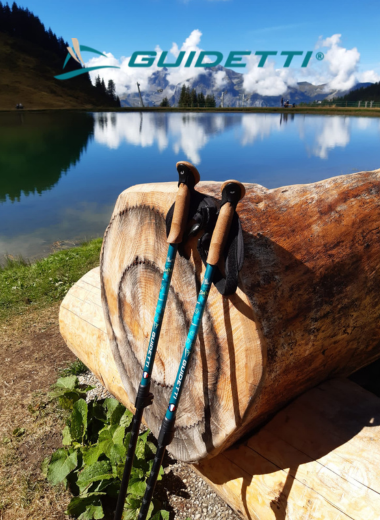 design sans titre(2)